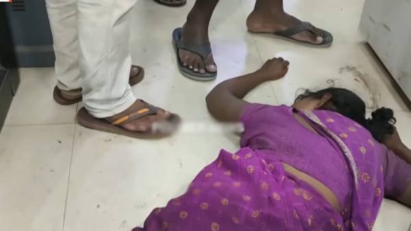குடும்பங்கள் 