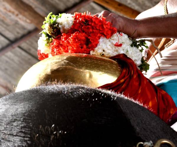 காவிரி புனித நீர் 