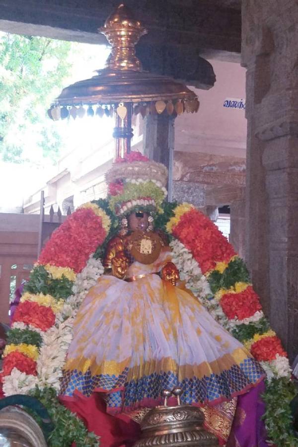 Poochatru Utsavam Kodai Thirunal Srirangam Ranganachiyar 
