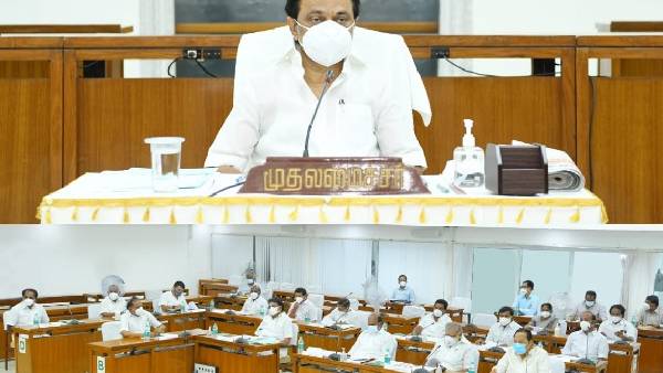 பேருந்துகள் பேருந்துகள்