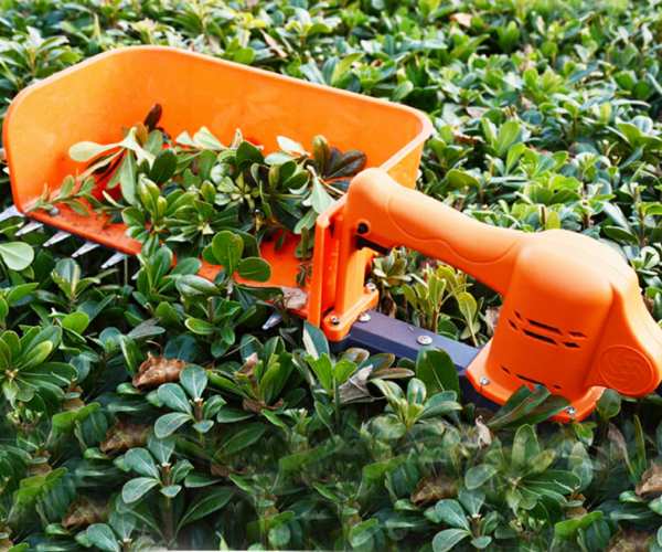 Can earn easy money by renting Blue Shine agri products