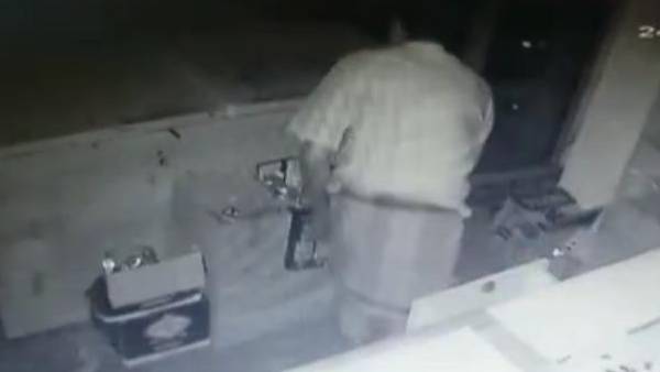 என்ன காட்சி 