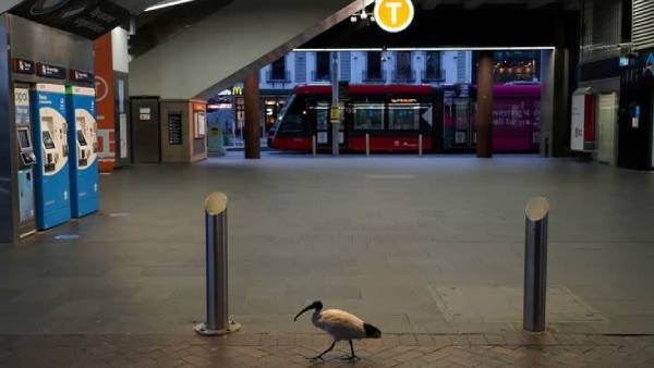 முடிவுக்குக் கொண்டு வராது