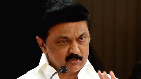 தீவிர ஆலோசனை தீவிர ஆலோசனை