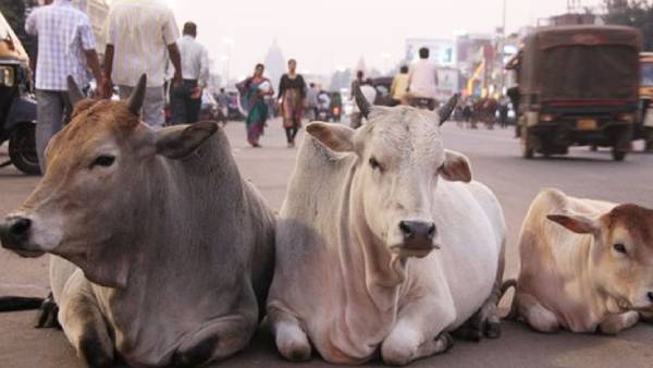 8 ஆண்டுவரை சிறை 8 ஆண்டுவரை சிறை