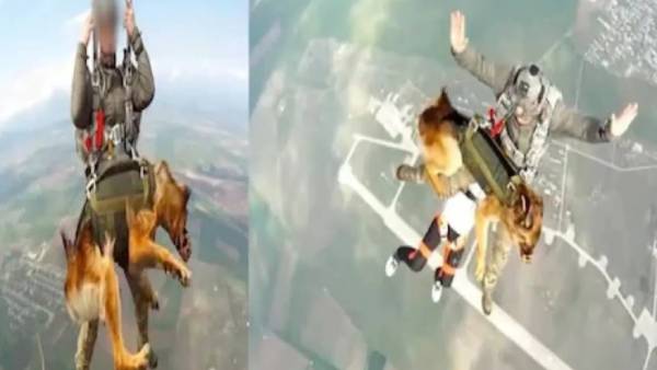  டிரெயினிங்