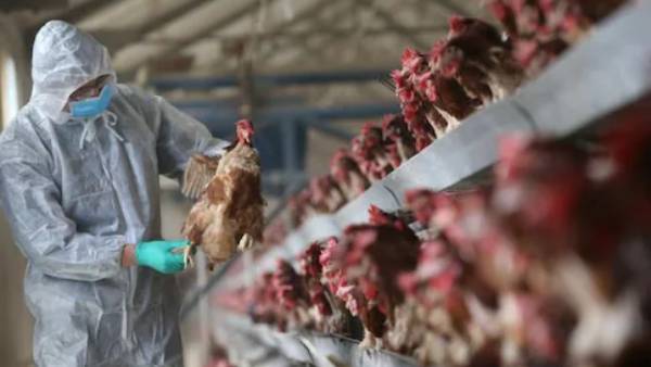  என்ன காரணம்