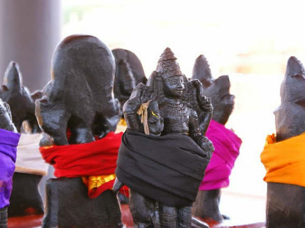பாம்பு கிரகங்கள் பாம்பு கிரகங்கள்