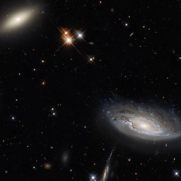 உருளைக்கிழங்கு 