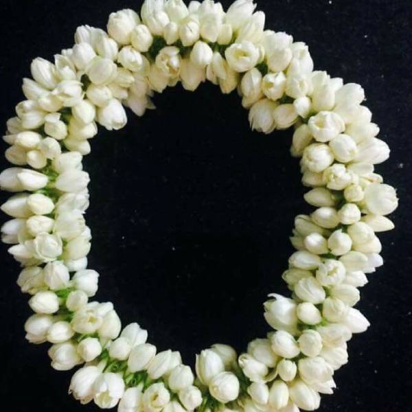 மல்லிக்கு புவிசார் குறியீடு மல்லிக்கு புவிசார் குறியீடு