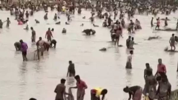 போக்குவரத்து போக்குவரத்து