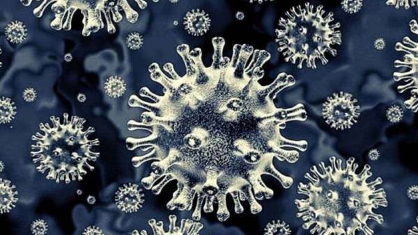 தடுப்பூசிகளின் முக்கியத்துவம் தடுப்பூசிகளின் முக்கியத்துவம்