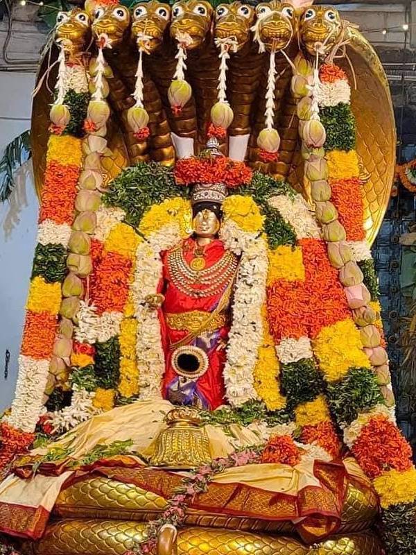 சந்தனம் சாத்தப்பட்டது