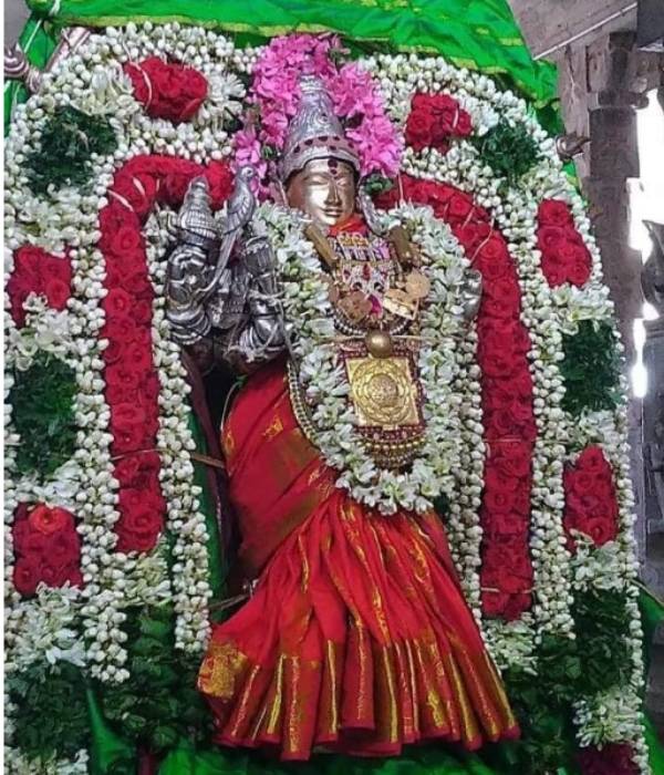 கொண்டாட்டம்