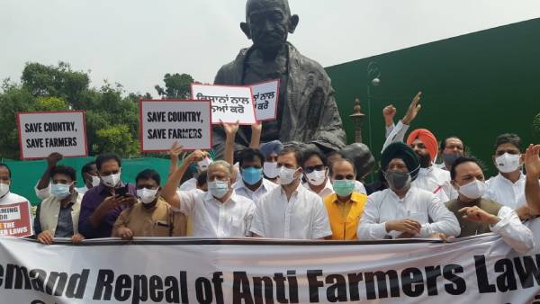  Rahul Gandhi stages protest against Farm Laws 