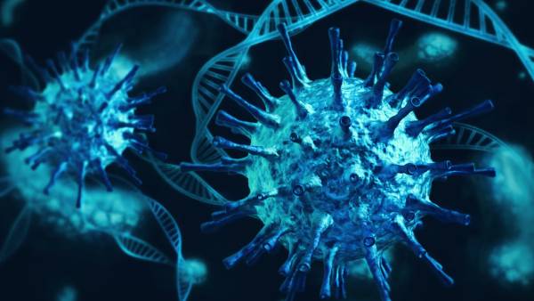 டெல்டா மாறுபாடு டெல்டா மாறுபாடு