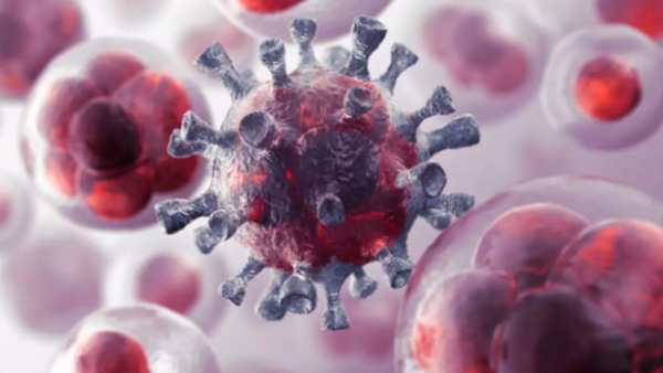 பார்த்தது இல்லை