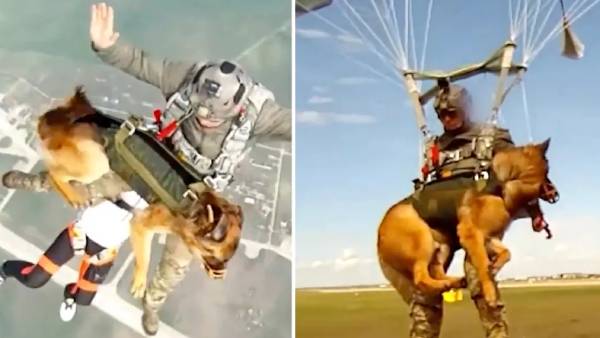  போர் பயிற்சி