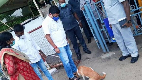 கோட்டை அலுவலகத்தில் நாய் 