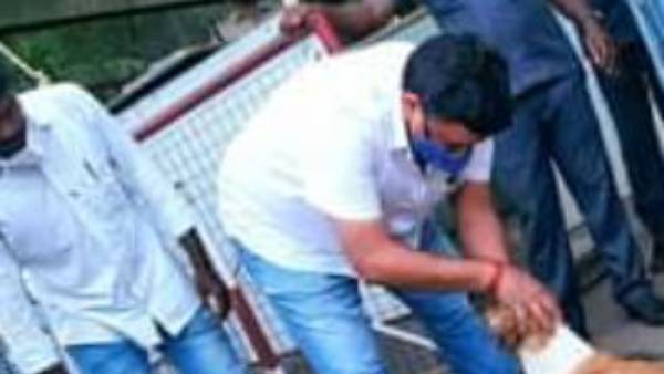 மருத்துவமனையில் நாய் 