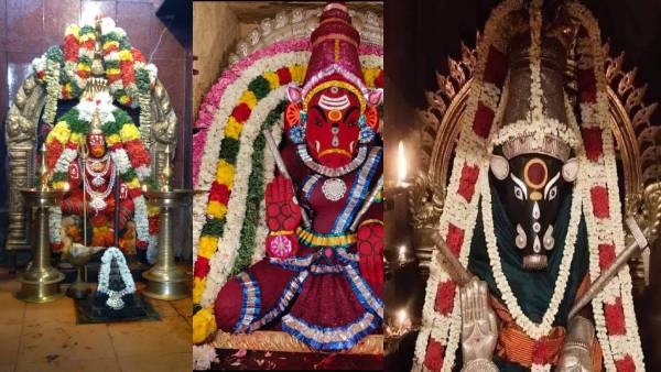 Valarpirai Panchami: Worship Varahi to remove obstacles and achieve success 