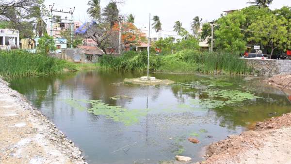 தூத்துக்குடி 