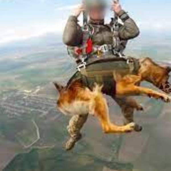  கண்டனம்