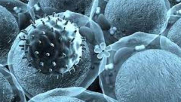 தெரிந்து கொள்ளலாம்