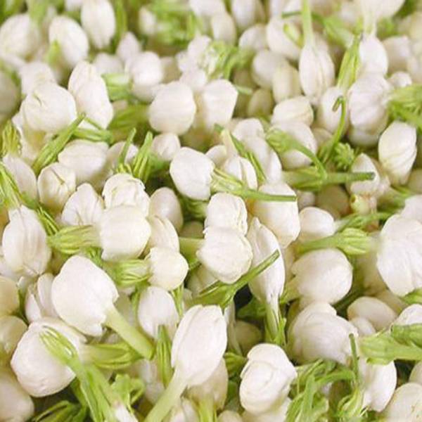 புகழ் அதிகரிப்பு புகழ் அதிகரிப்பு