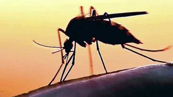 உடலுறவு 