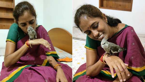 ஓய்வில் ஜோதிமணி 