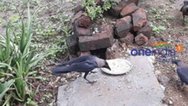 தோஷ நிவர்த்தி தோஷ நிவர்த்தி