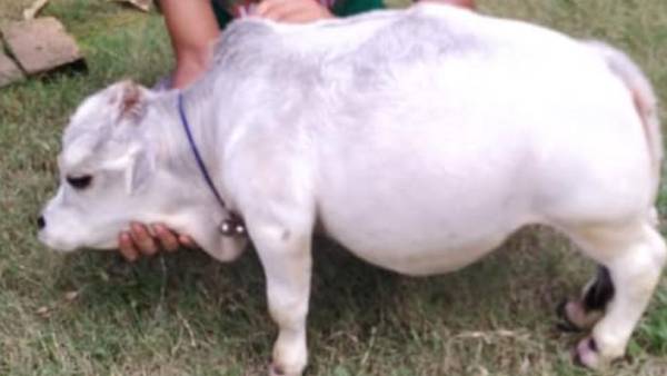 குவியும் கூட்டம் குவியும் கூட்டம்