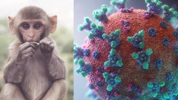 அறிகுறிகள்