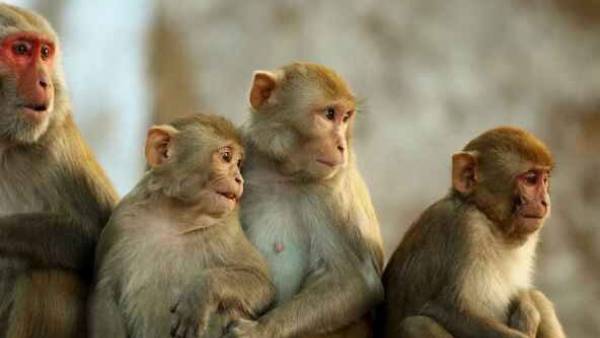 வழிபோக்கர்கள் வழிபோக்கர்கள்