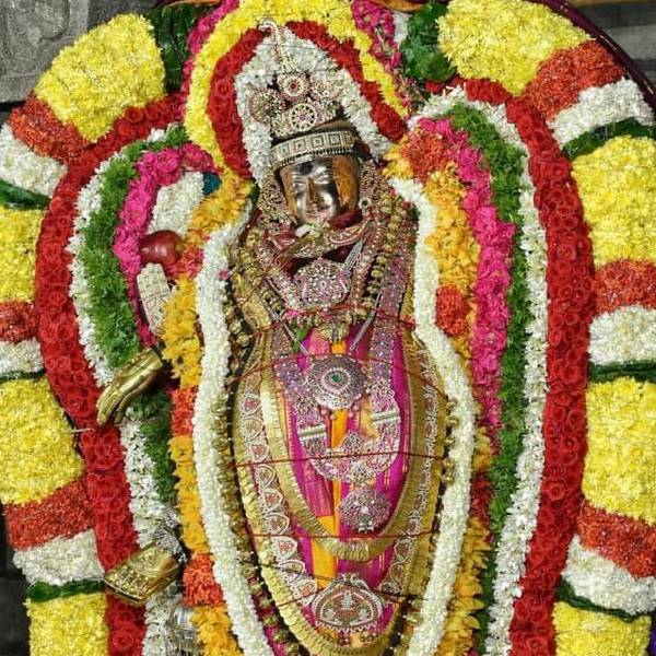 நடராஜருக்கு அபிஷேகம் 