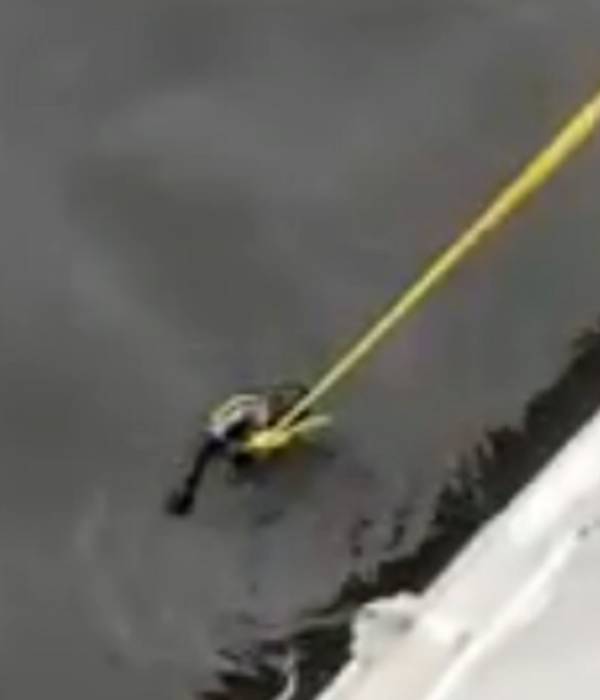 பரபரப்பான நேப்பியர் பாலம் 