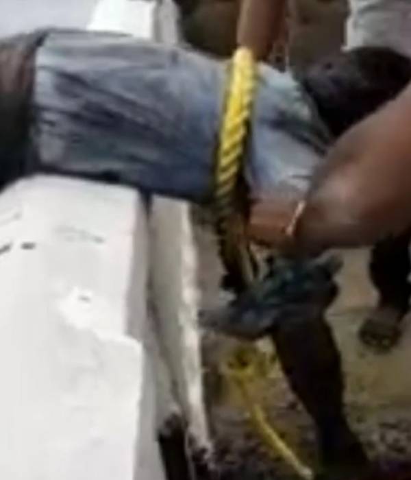  பதறிய மக்கள் 