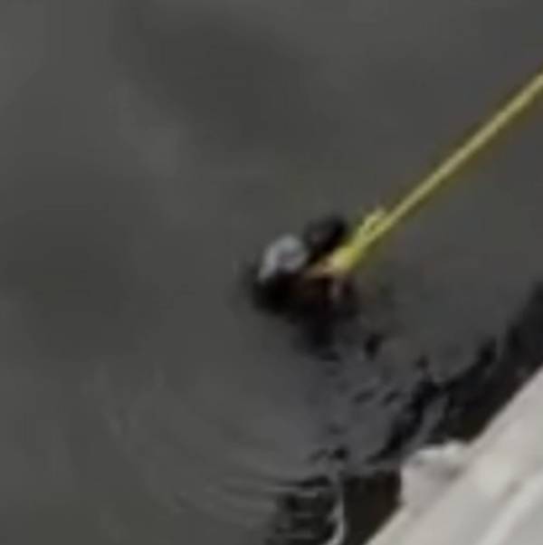 உடம்பெல்லாம் சேறு 