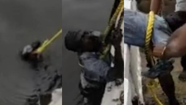 விசாரணை 