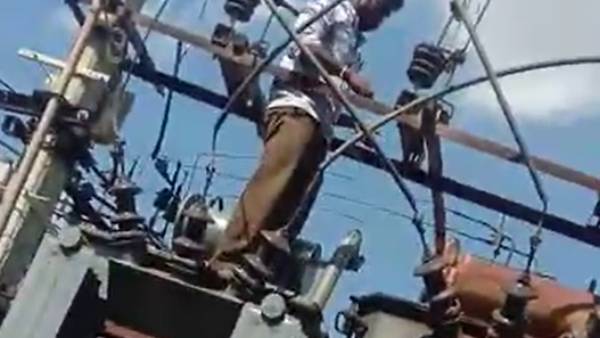 அணில்கள் காரணம்