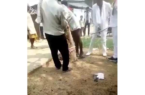  மர்ம உறுப்பு