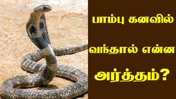 தோஷம் நீங்கும் 