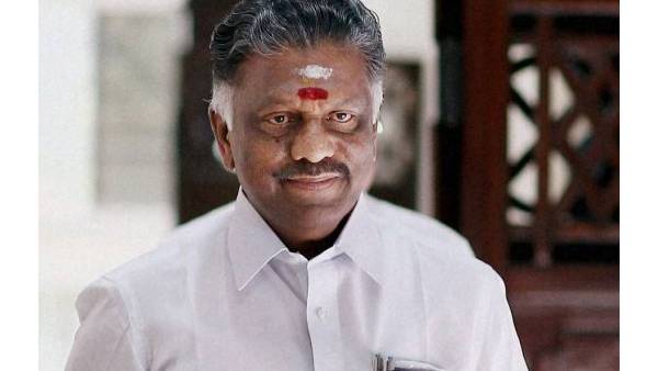 சலசலப்பு சலசலப்பு
