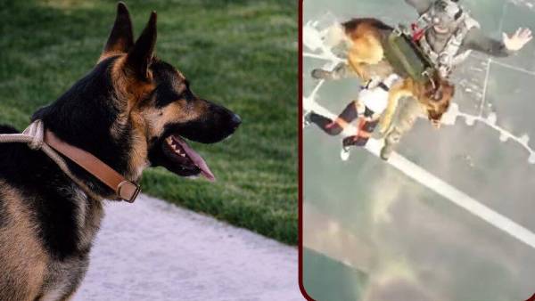  ஃபிளைட்