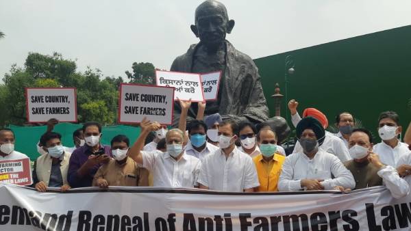  Rahul Gandhi stages protest against Farm Laws 
