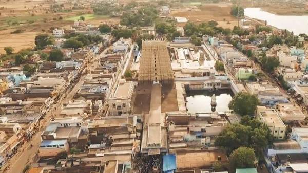 சங்கரநாராயணர் காட்சி 