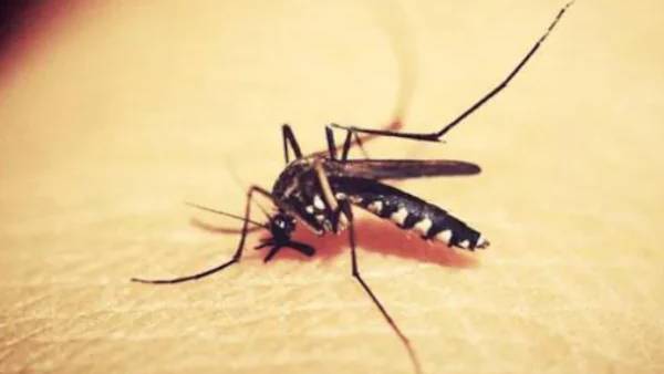  நன்றாக உள்ளார் 