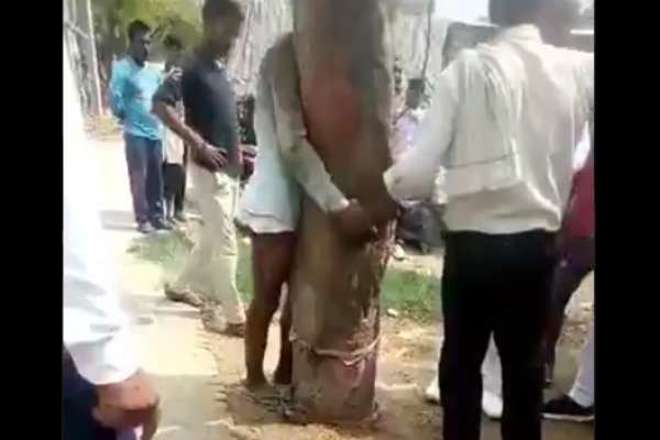 சாதி