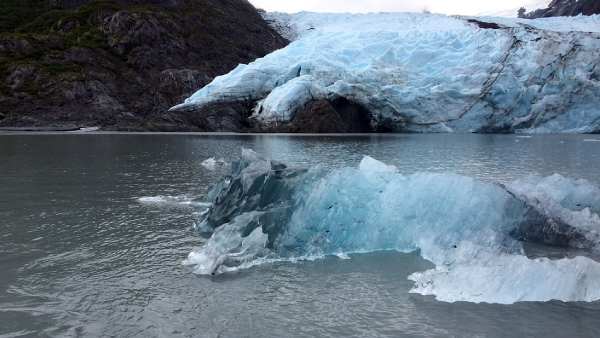 என்ன சொல்கிறார்கள் 